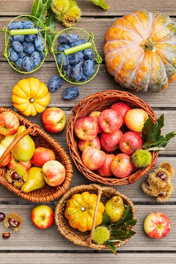 autumn harvest of apples, plums, pears, pumpkins and chestnuts