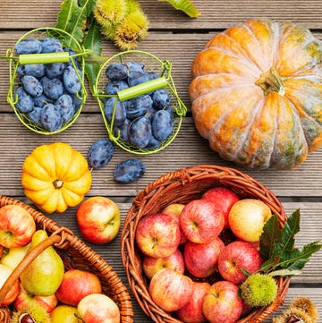 Autumn harvest of apples, plums, pears, pumpkins and chestnuts autumn harvest of apples, plums, pears, pumpkins and chestnuts