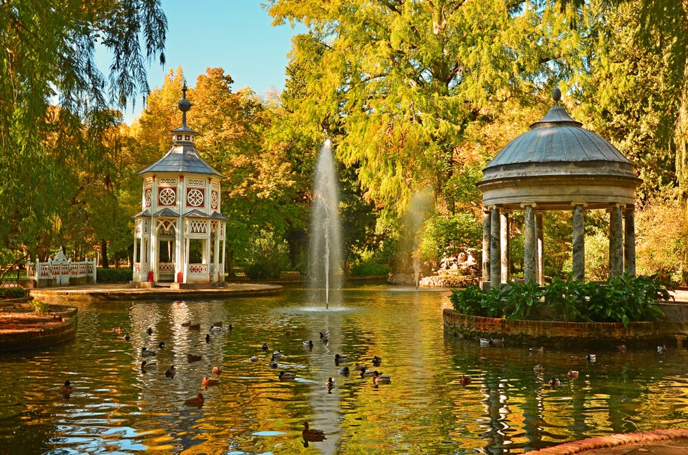 otoño en aranjuez, madrid, españa