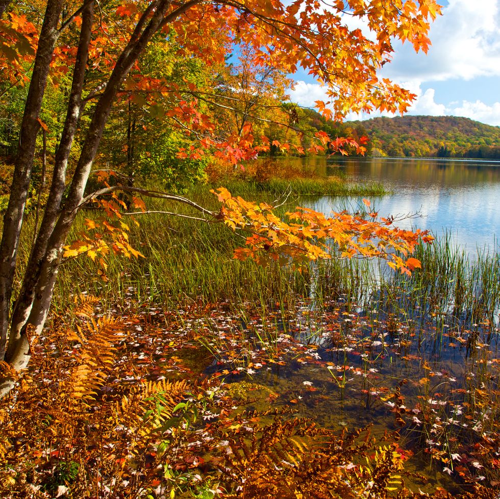 25 Best Fall Foliage Spots in U.S. - Where to See Autumn Colors