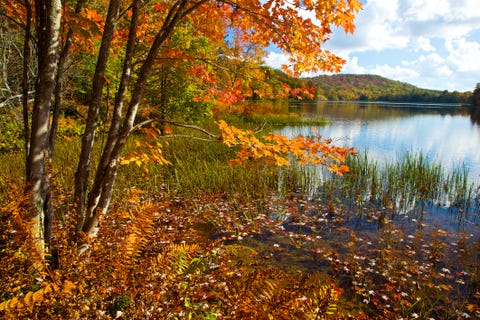 25 Best Fall Foliage Spots In U.s. - Where To See Autumn Colors