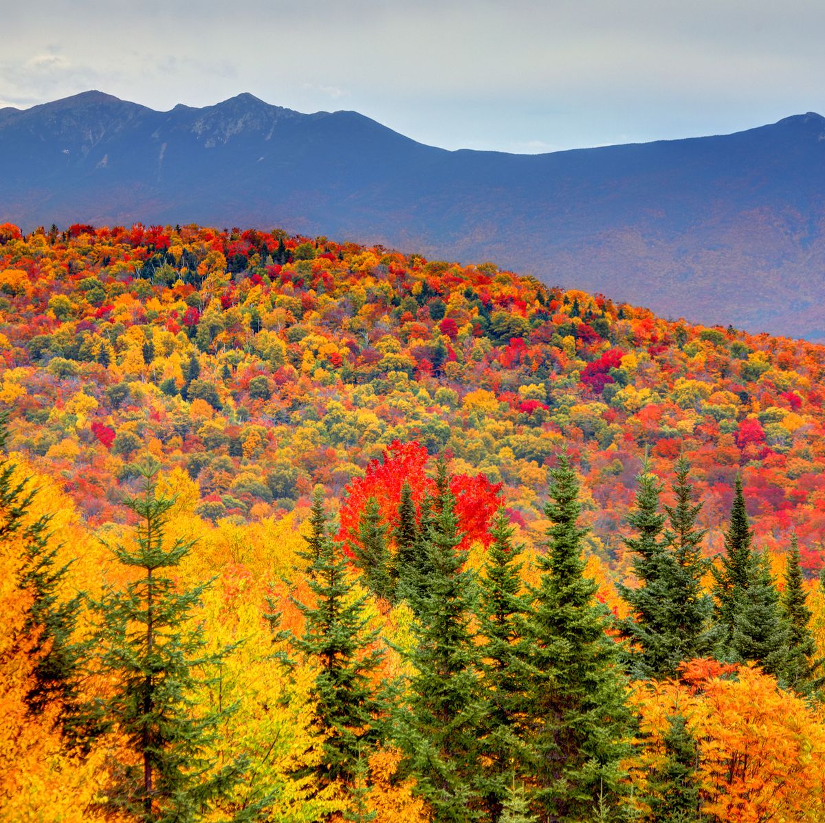 Autumn in the White Mountains of New Hampshire
