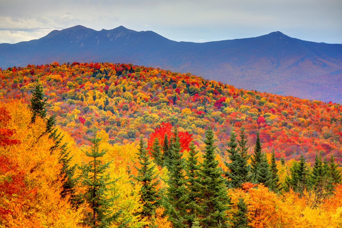 Peak Fall Foliage May Be Delayed in 2019, The Weather Channel Says