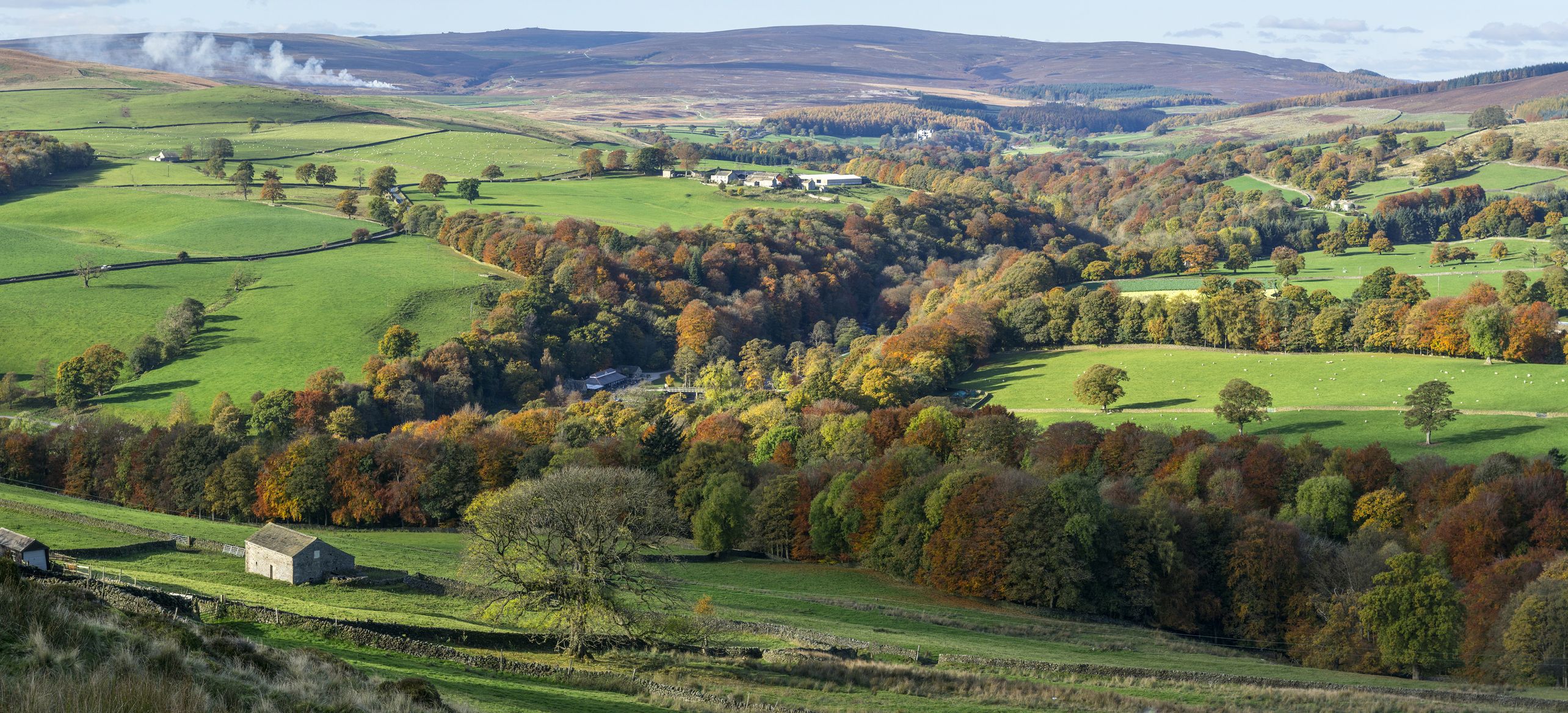 This Luxurious Train Through the English Countryside Now Hosts a Murder  Mystery Trip With a 5-course Lunch