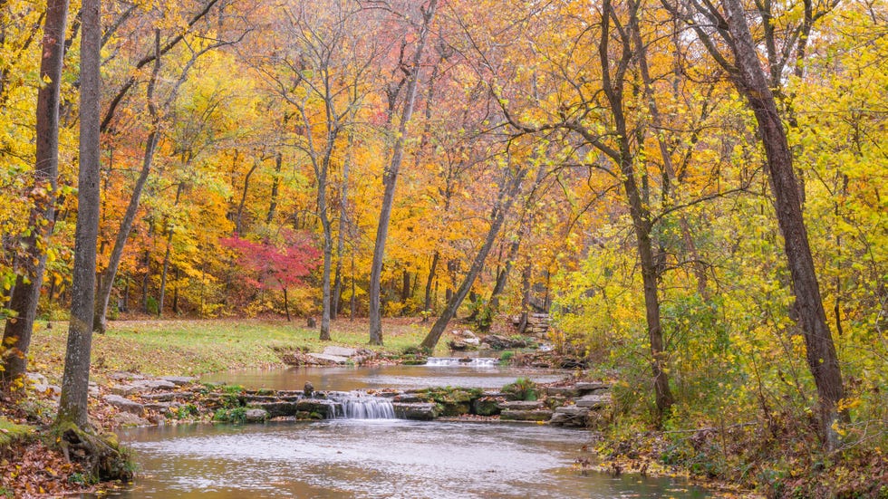 autumn landscape in ozark mountains