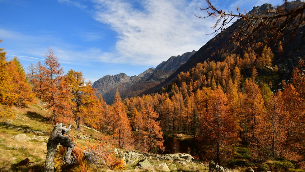 alpi in autunno