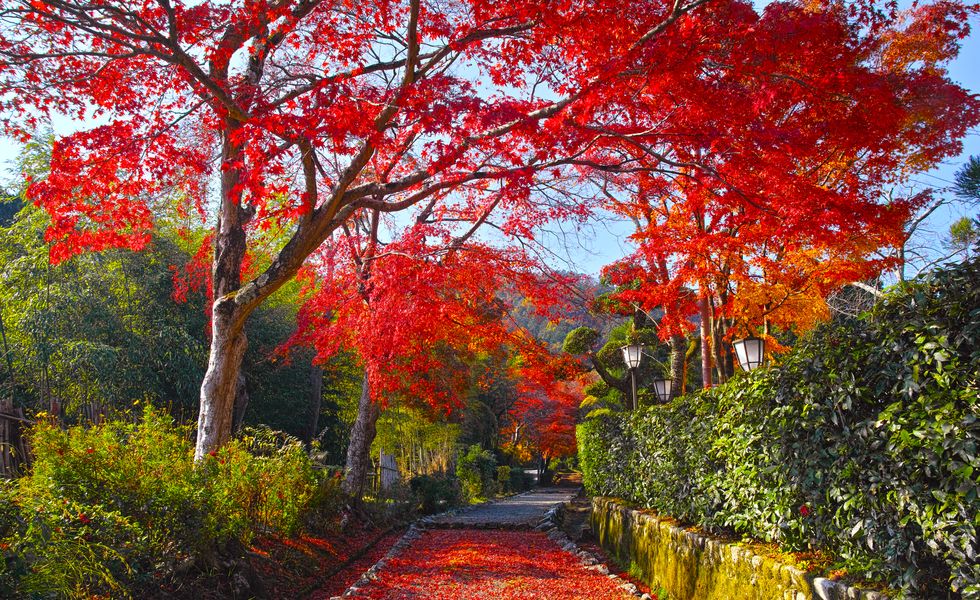 Best time to visit Japan - autumn