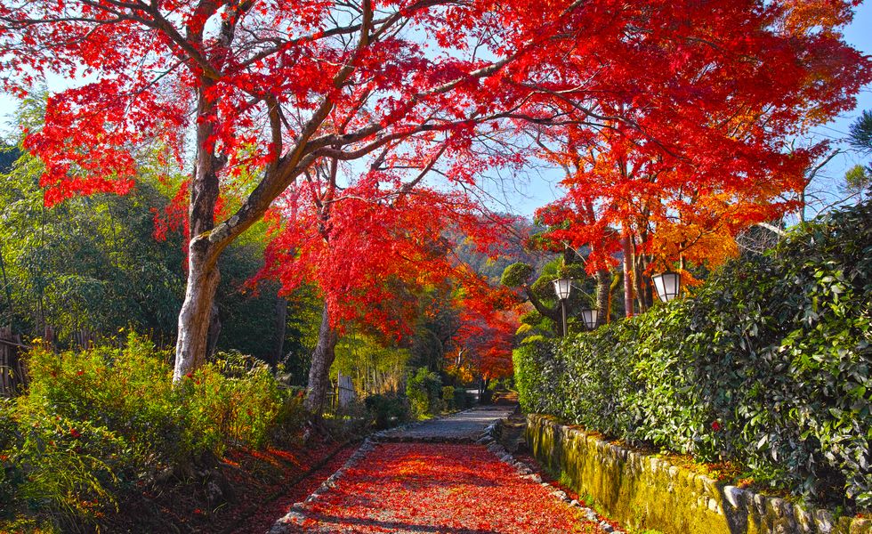 Best time to visit Japan - autumn