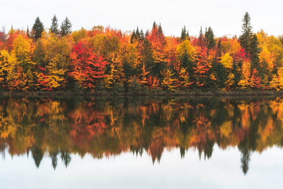 Autumn of Canada Autumn of Canada