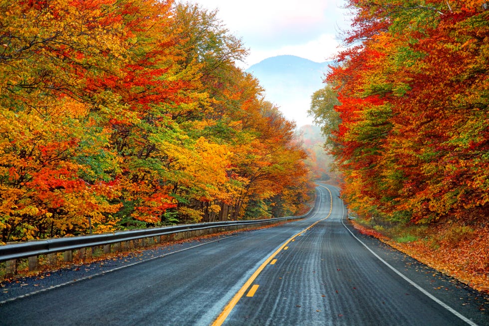 autumn on the kancamagus highway in new hampshire