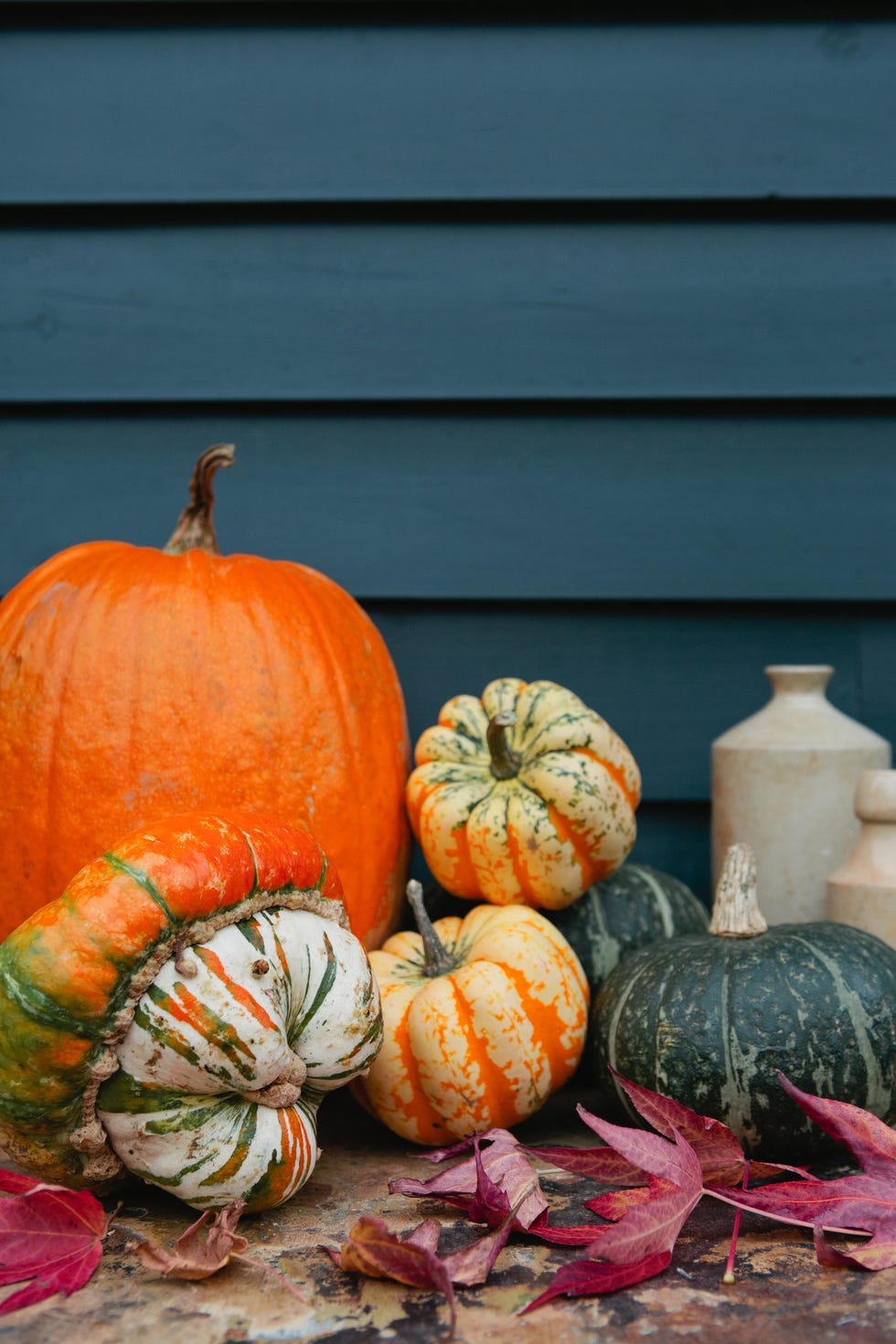 Autumn pumpkins and squash, with acer tree leaves