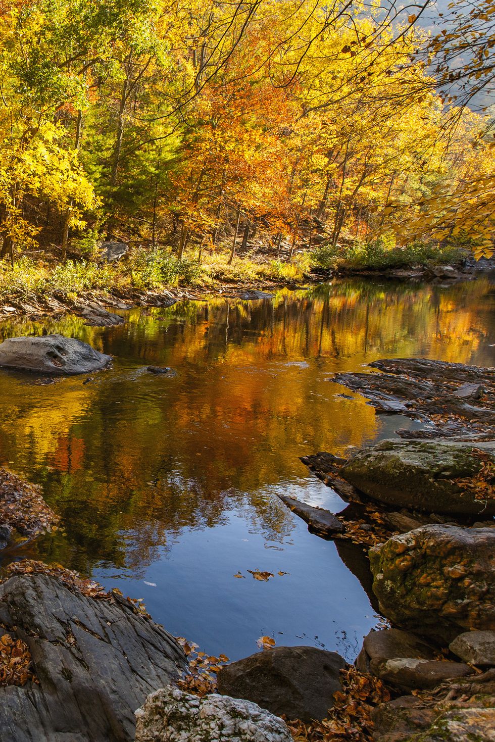autumn, tellico river, cherokee nf