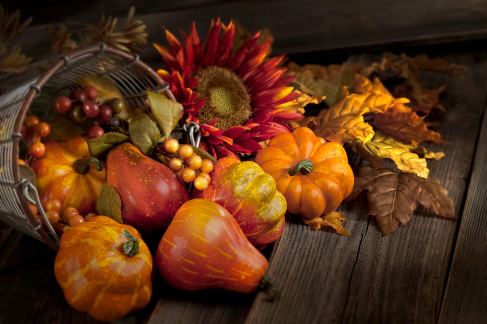 Thanksgiving Cornucopia Meaning: Why a Horn of Plenty Symbolizes ...