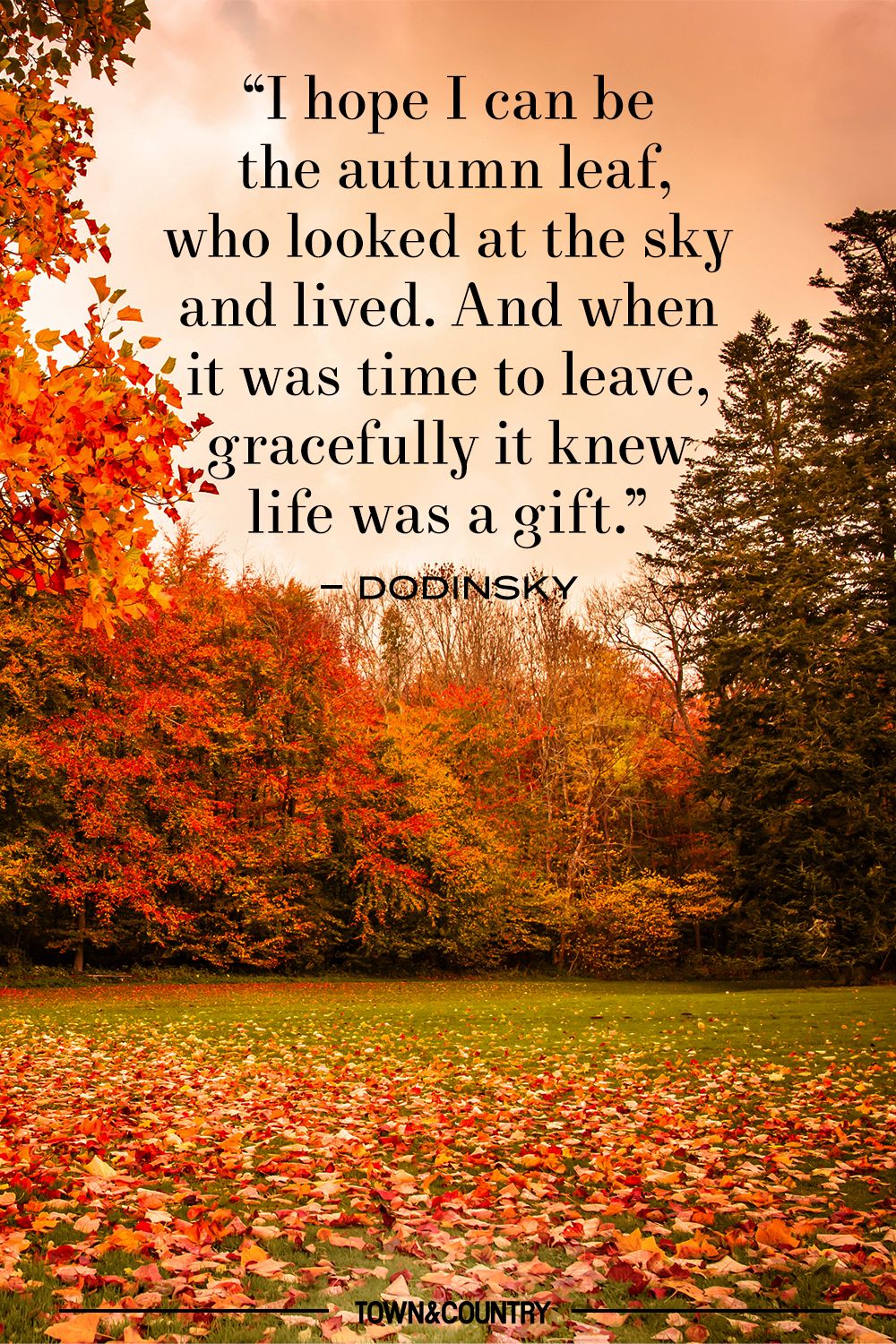 30+ Inspiring Fall Quotes - Best Quotes And Sayings About Autumn