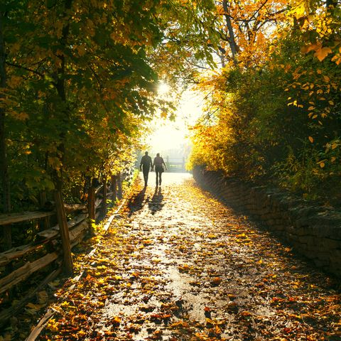 autumnal walk
