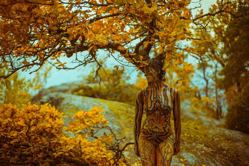 Tree, People in nature, Nature, Yellow, Branch, Autumn, Woody plant, Leaf, Natural landscape, Sunlight, 