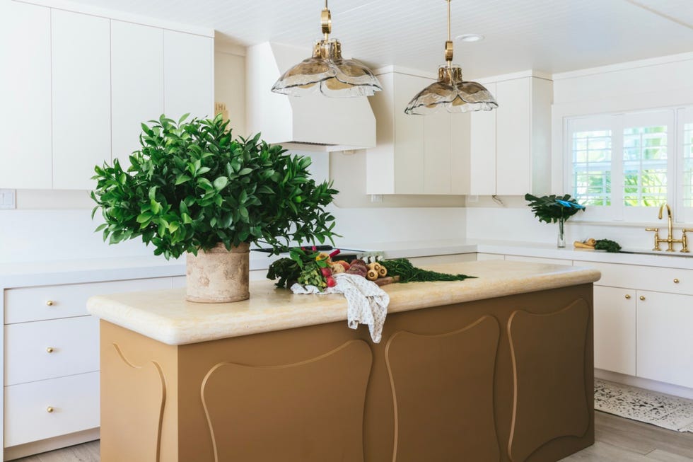 Kitchen with plants on the counter