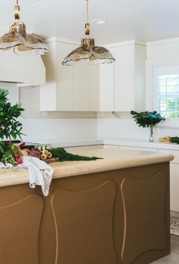 a kitchen with a plant on the counter a kitchen with a plant on the counter