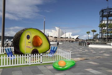 Avo-Condo