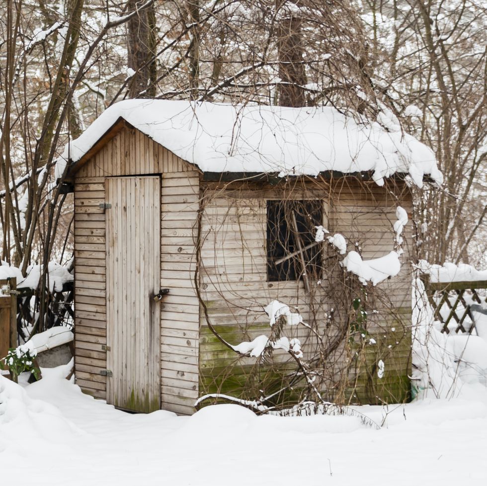 gartenschuppen mit schnee im winter, hut with snow in a garden in winter