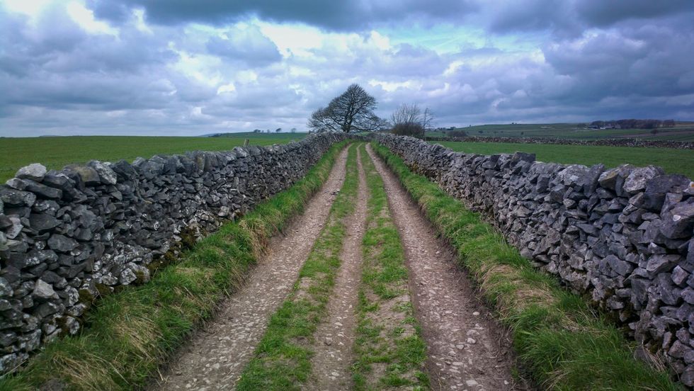In Northumberland zijn de karakteristieke stenen muurtjes urenlang mijn enige gezelschap Ze vormen zo geen begrenzing maar de juiste richting naar vrijheid