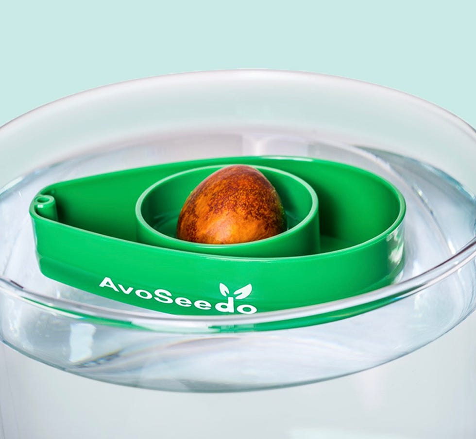 kit para cultivar agucate