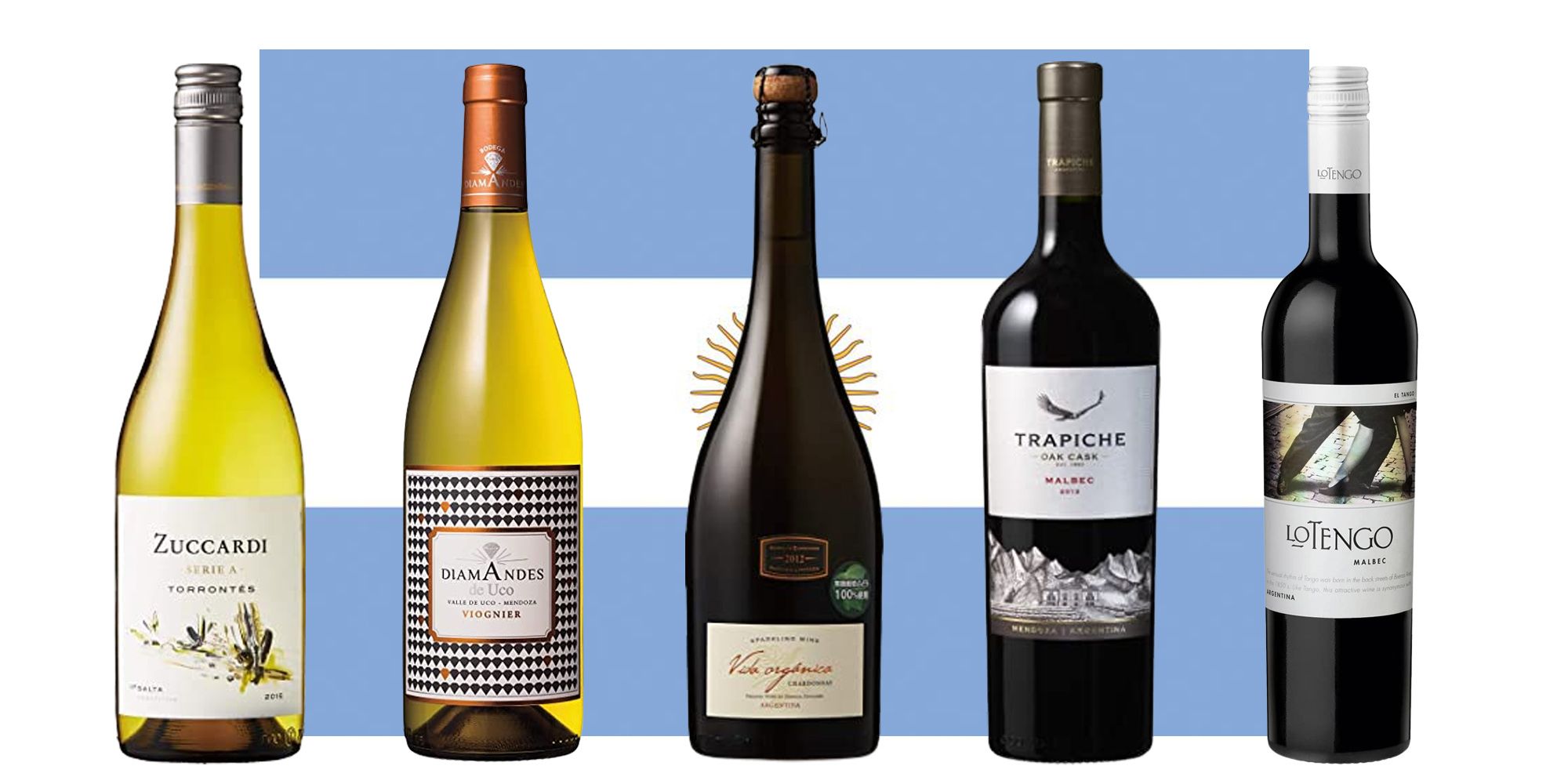 アルゼンチンワインのおすすめ14選│マルベックなど要注目の品種をご 