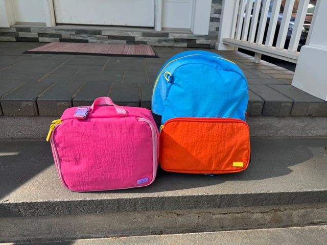 a pink lunchbox sits next to a blue and red backpack on some outdoor steps