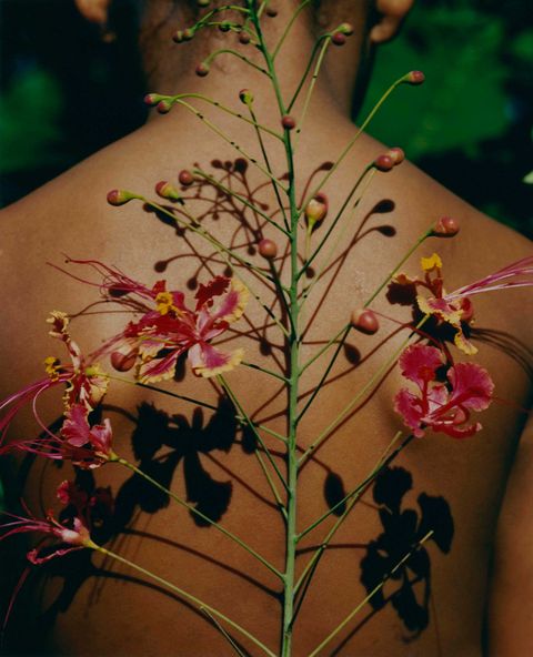 artwork portraying flowers against a woman's back
