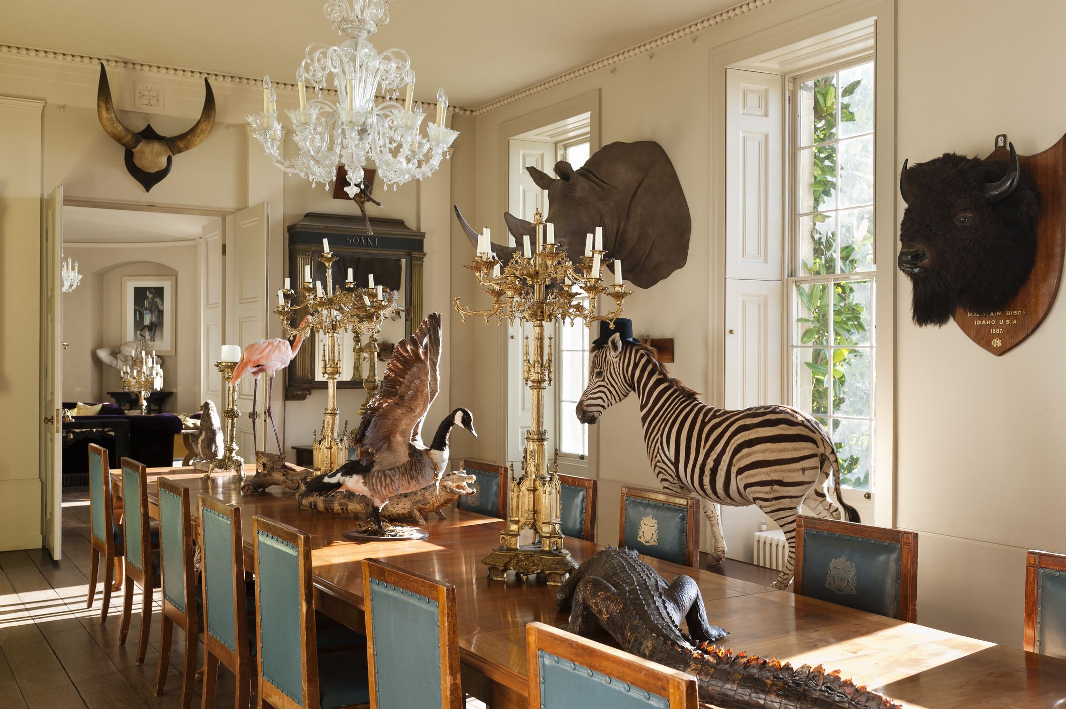 housebeautiful.com - Jessica Cherner - Does Taxidermy Deserve a Place in Your Home? Designers Weigh In