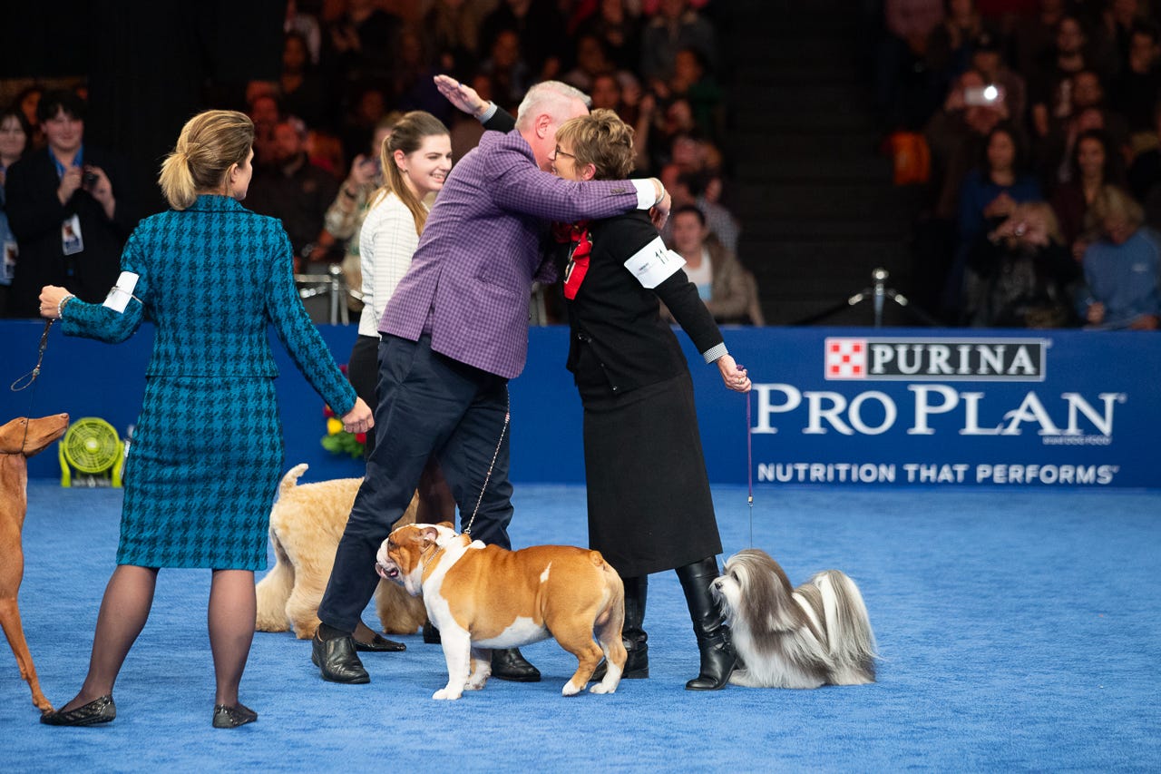 what dog was best in show 2019