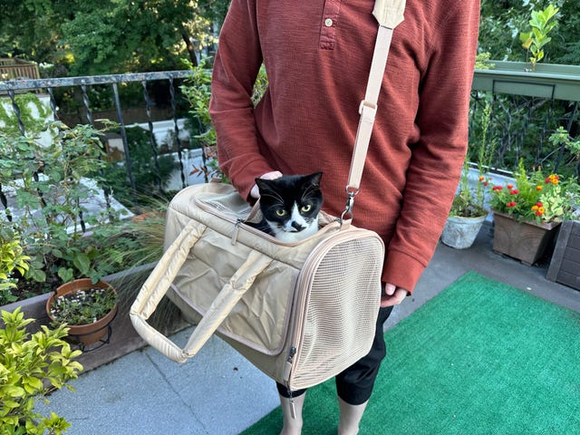 a black and white cat in a beige cat carrier from chewy, part of a good housekeeping review of the best cat carriers