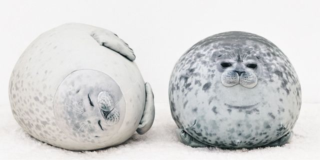大阪水族館海豹抱枕