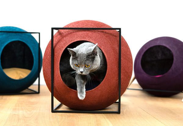 Come rendere la casa a misura di gatto: consigli - ArcaMagazine