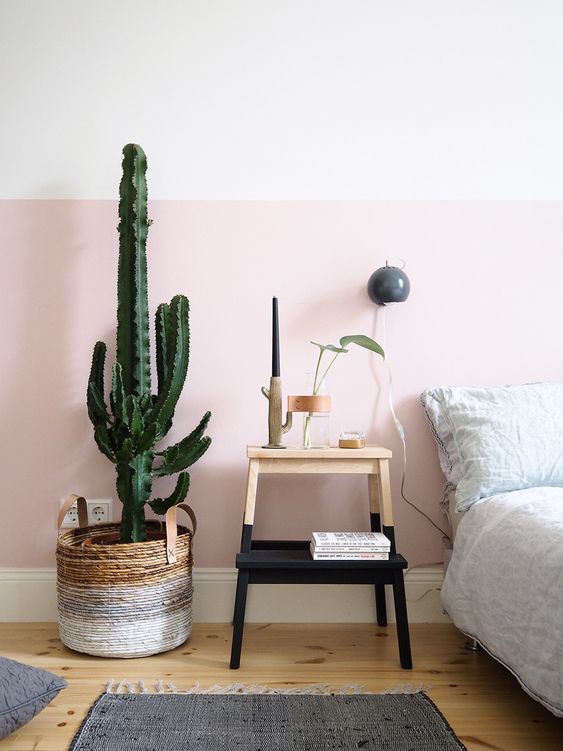 Súmate a la última tendencia: decorar con cactus - Foto 1