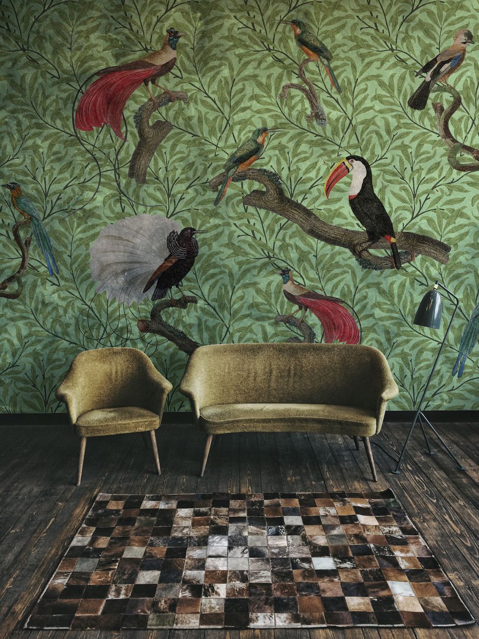 Wall, Bird, Wallpaper, Art, Ibis, Piciformes, Floor, Feather, Interior design, Furniture, 