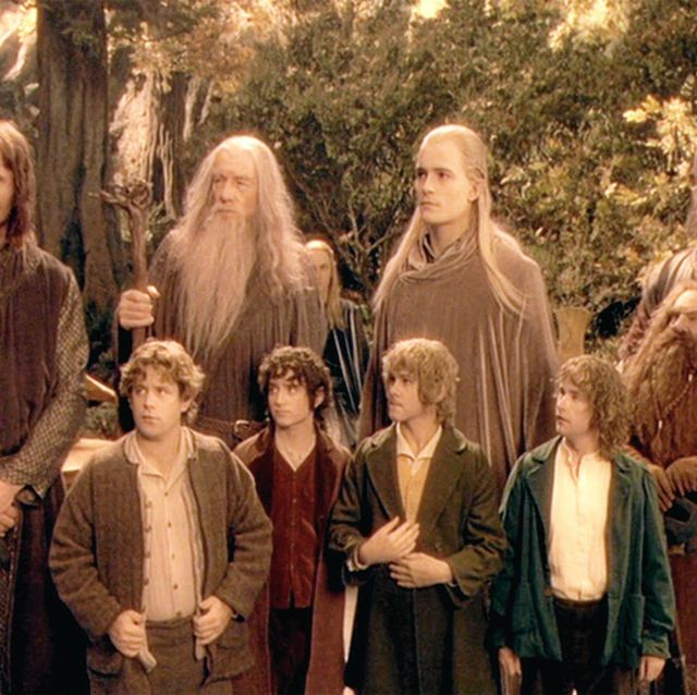 for review and preview purposes only from left, viggo mortensen, ian mckellen, orlando bloom, sean bean, john rhys davies and front row sean astin, elijah wood, dominic monaghan and billy boyd in a scene from the movie the lord of the rings the fellowship of the ring