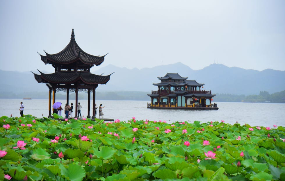 Summer Scenery In Hangzhou