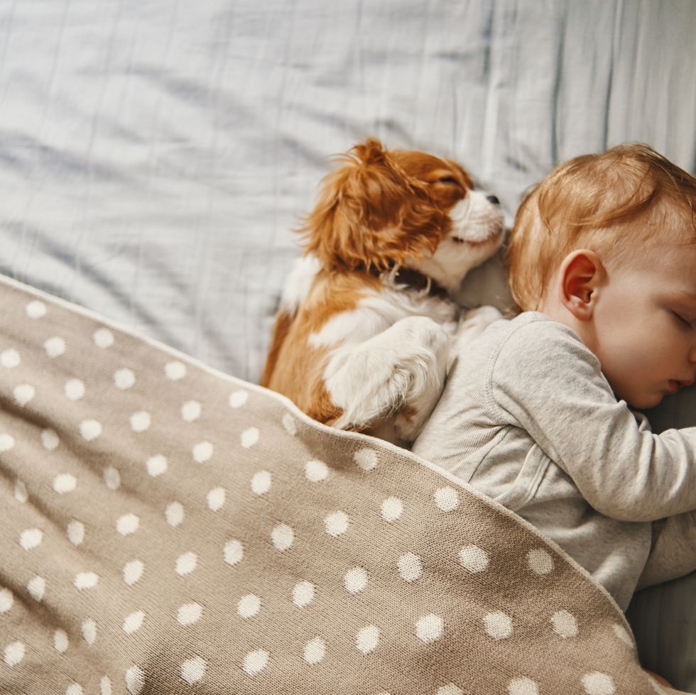 baby and his puppy sleeping peacefully
