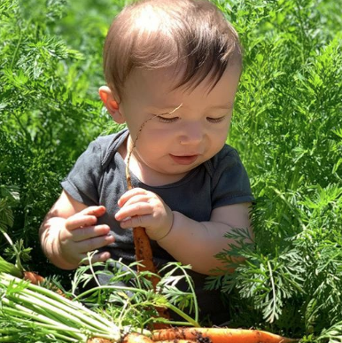 Baby Crew Gaines in Garden with Carrots