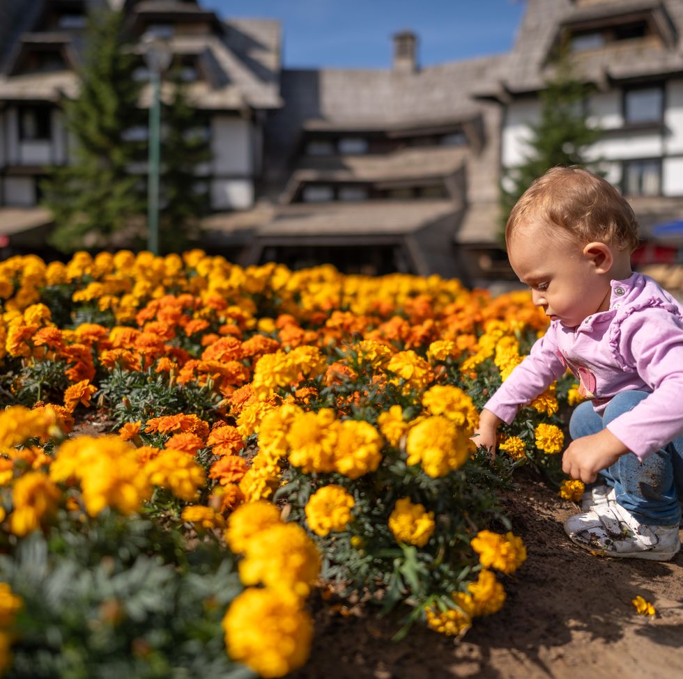 spring flower baby names marigold