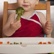 Baby holding a piece of broccoli