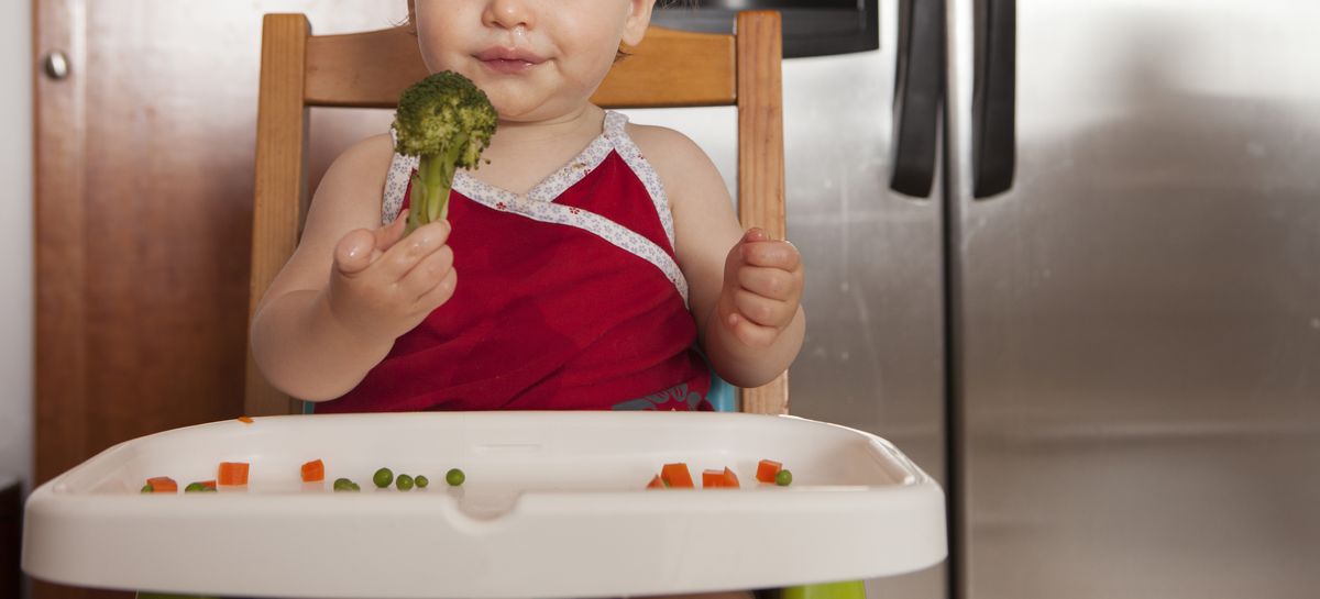 Baby holding a piece of broccoli