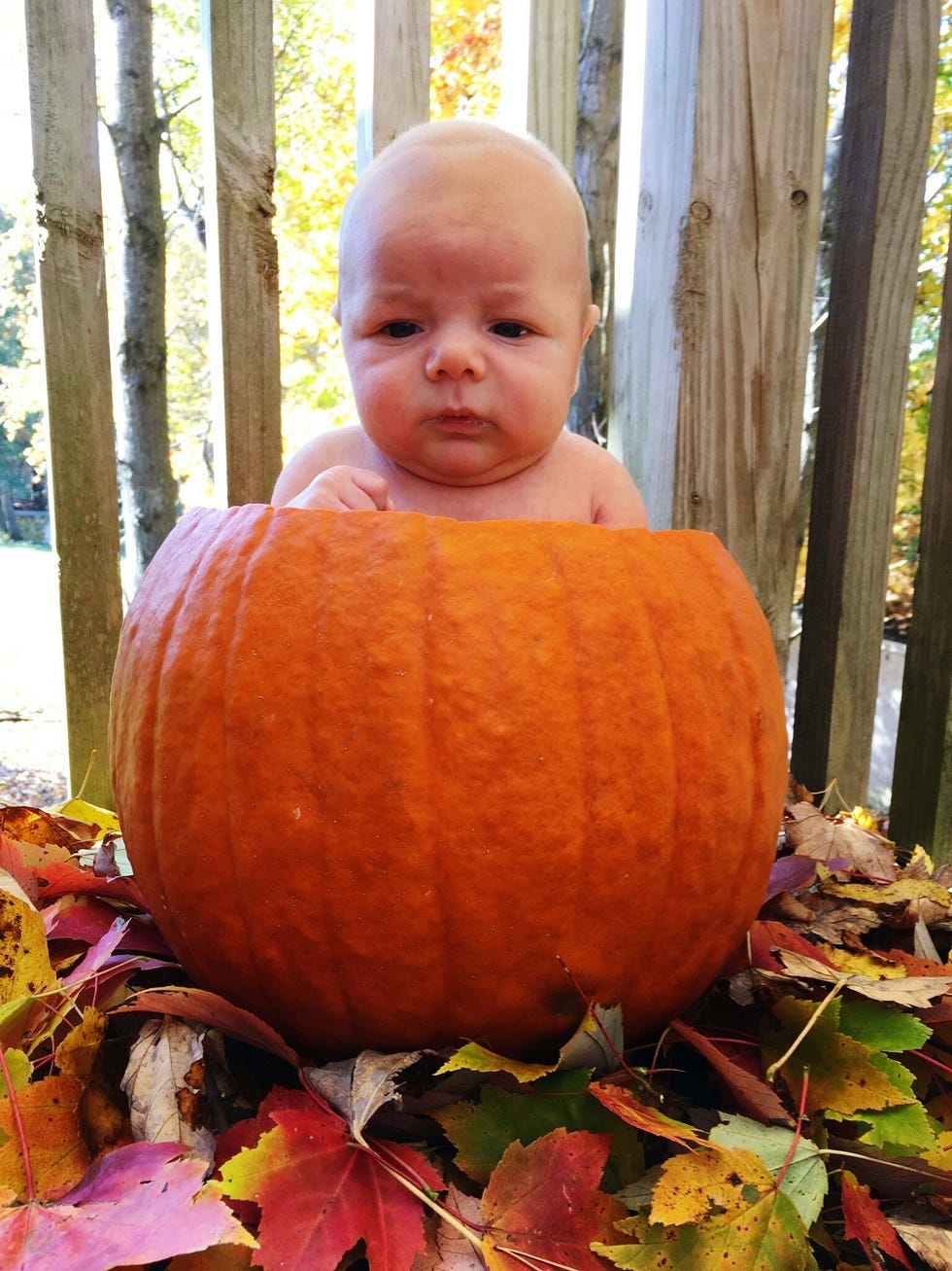 14 Baby in Pumpkin Pictures - Cute Photos of Babies in Pumpkins