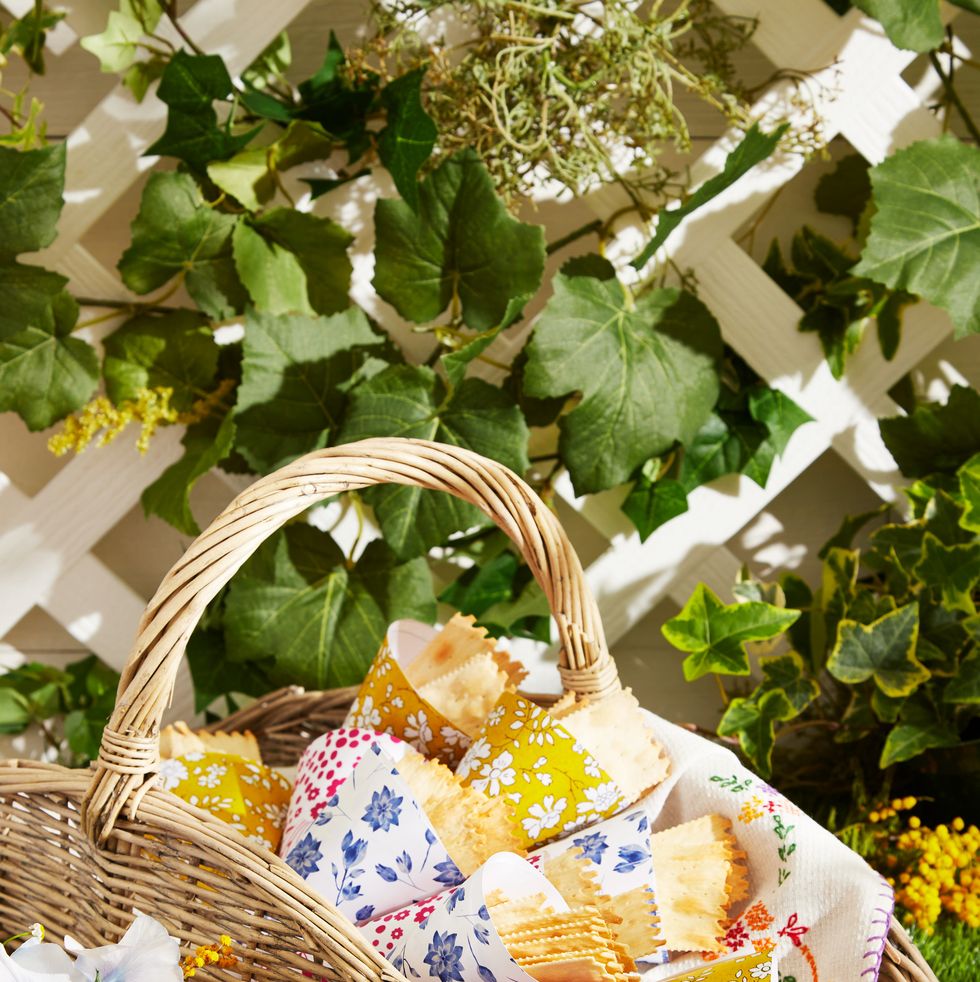 serve snacks in a flower basket, handcrafted paper cones filled with crackers picnics parties, wild for wildflowers, lela rose