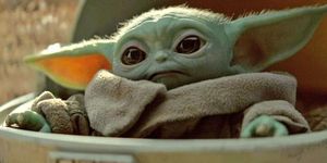Yoda, Snout, Fictional character, 