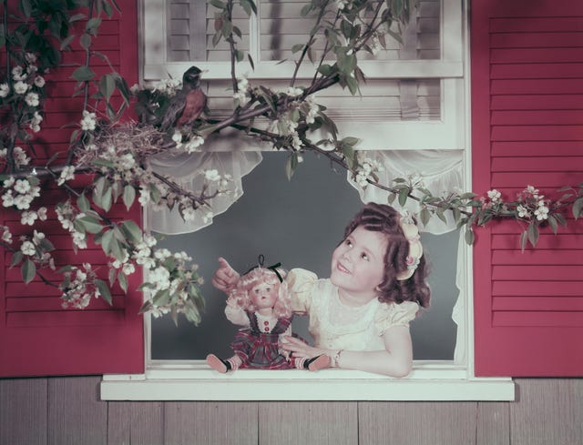 baby girl looking at bird through window
