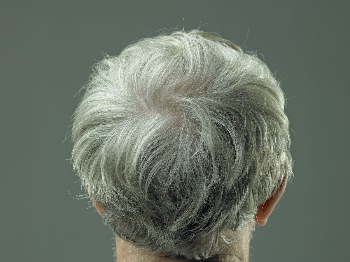 Ask a Redbird Scholar: Why does human hair turn gray? - News - Illinois  State