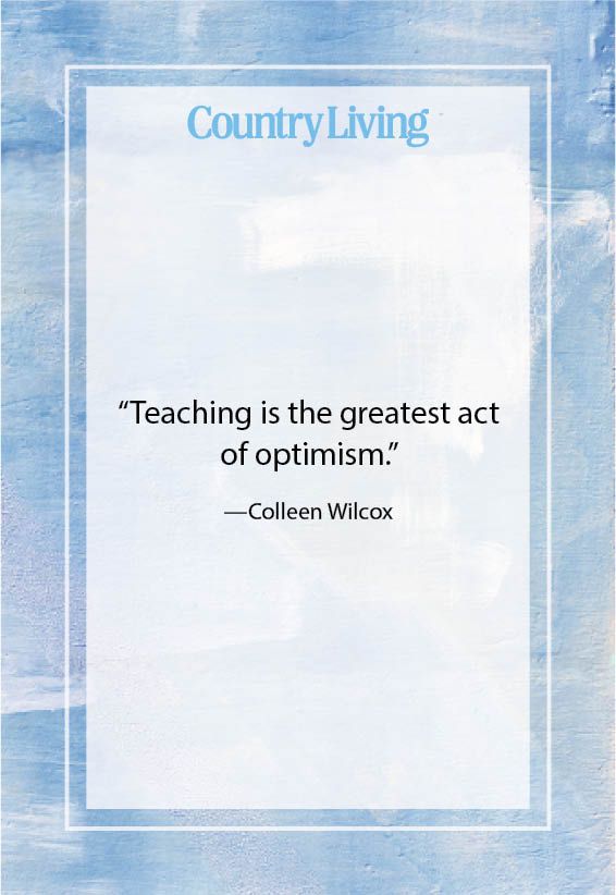 teaching quote from colleen wilcox
