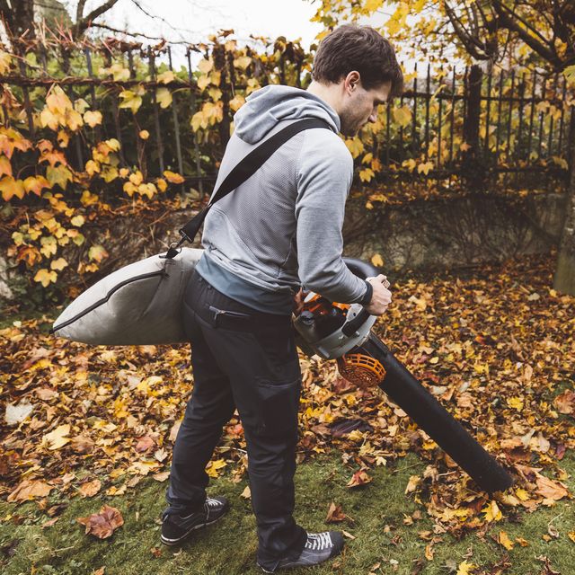 https://hips.hearstapps.com/hmg-prod/images/back-view-of-a-man-vacuuming-crispy-leaves-with-royalty-free-image-1693508926.jpg?crop=0.626xw:0.939xh;0.0680xw,0.0485xh&resize=640:*
